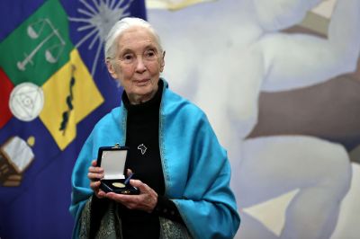 La medalla Doctor Honoris Causa se entrega a personas chilenas o extranjeras que no sean integrantes de la Universidad de Chile, siendo Gabriela Mistral la primera persona en recibirla.